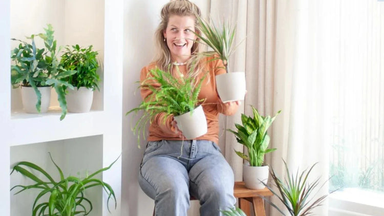 Kamerplanten