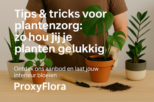 Tips & tricks