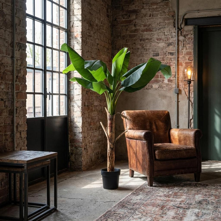 Musa in pot in trendy woonkamer