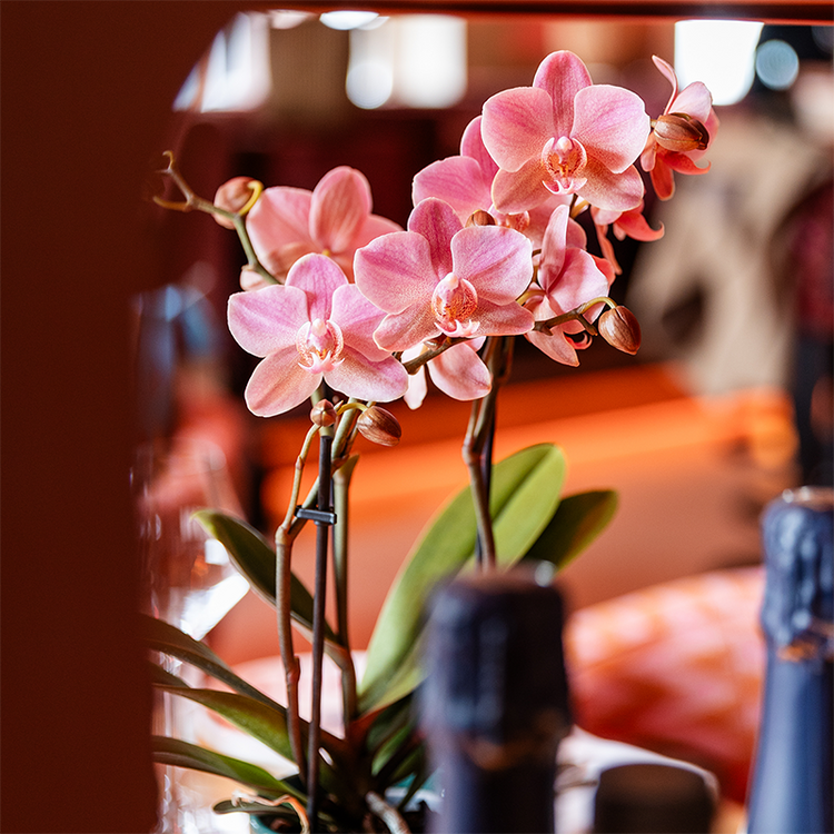 orchidee in vaas op trendy tafel