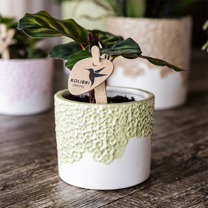 Combo: Kolibri Company | Bloom sierpot groen – set 6 cm + 9 cm + 12 cm