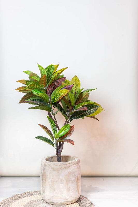ARTIFICIAL Croton Codiaeum - 95 cm