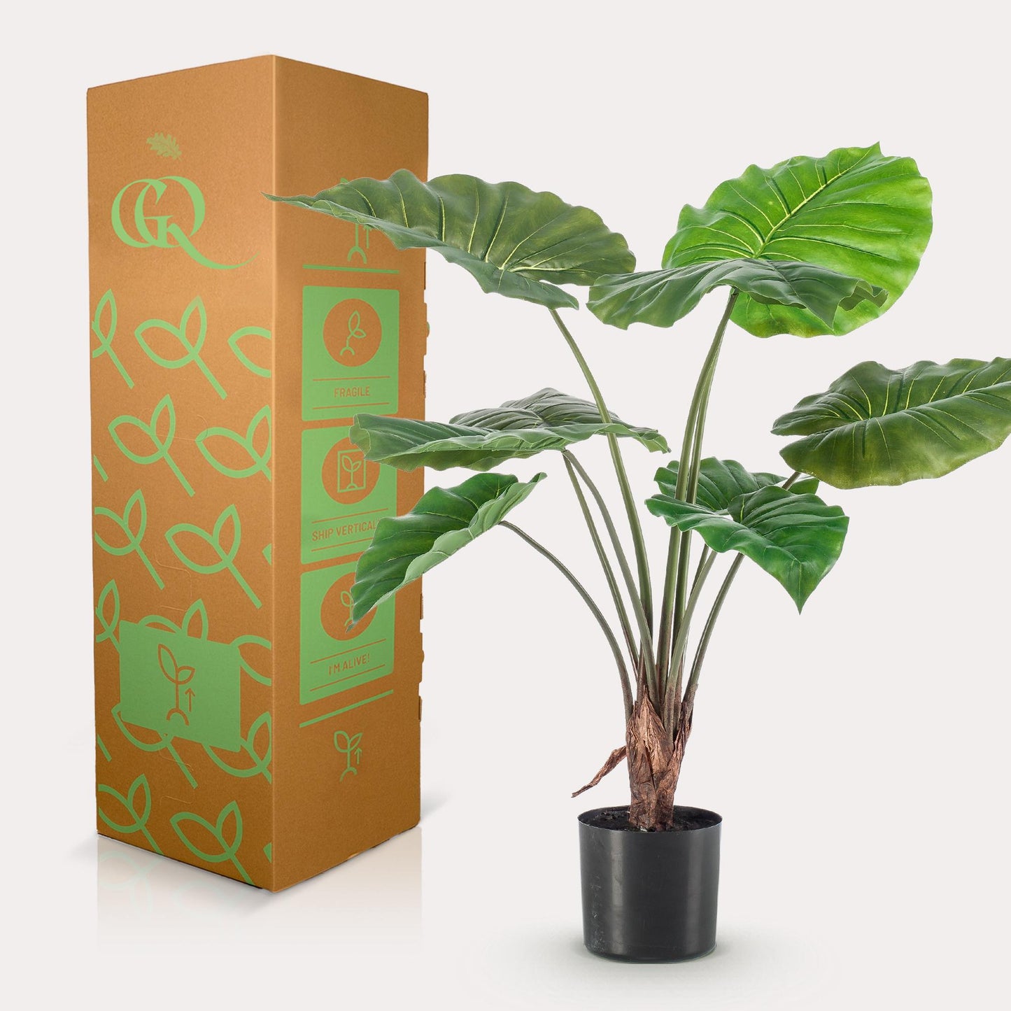 ARTIFICIAL Alocasia 70 cm