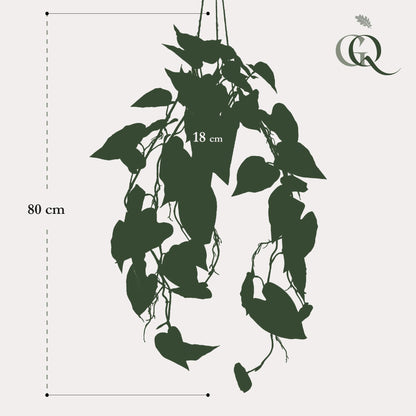 ARTIFICIAL Philodendron scandens - Klimmende Boomliefhebber - 80 cm