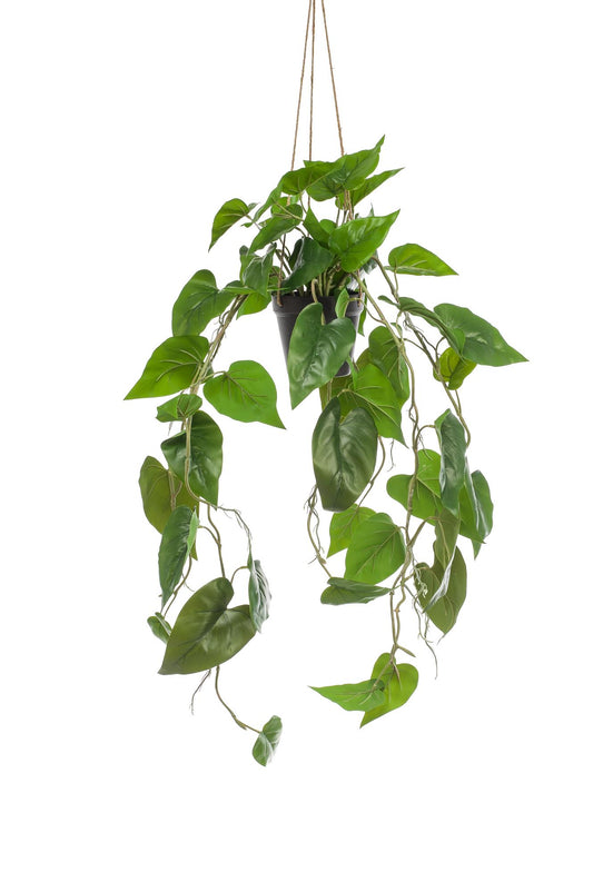ARTIFICIAL Philodendron scandens - Klimmende Boomliefhebber - 80 cm