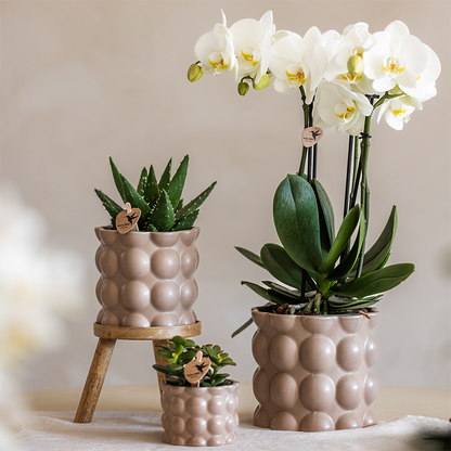 Combo: Kolibri Company | Combi deal | Cotton sierpot zand – set 6 cm + 9 cm + 12 cm
