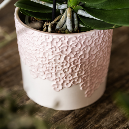 Combo: Kolibri Company | Bloom sierpot roze – set 6 cm + 9 cm + 12 cm