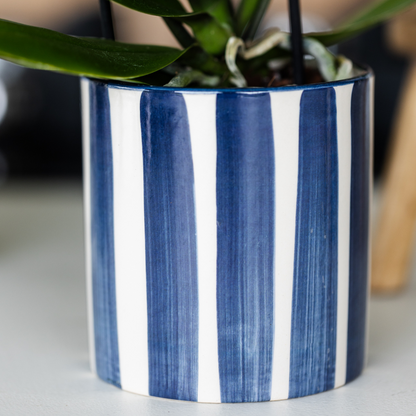 Gift set: Mediterranean Sunset