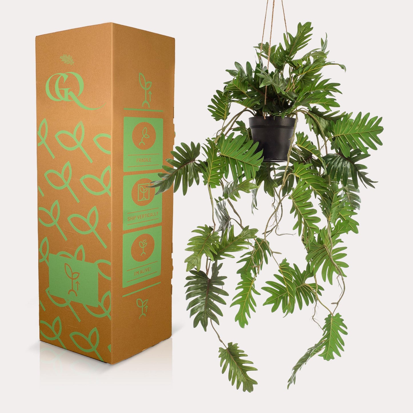 ARTIFICIAL Philodendron - 80 cm