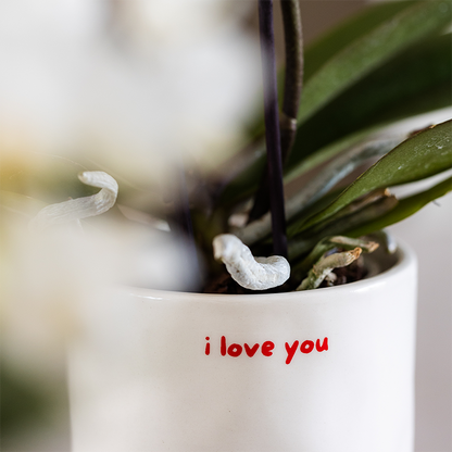 I love you (Ø3.5in)