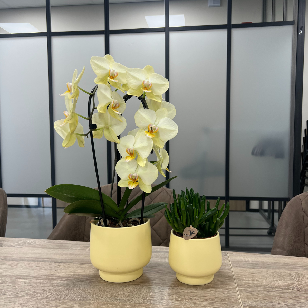 Scandic bloempot - Yellow (⌀9cm)
