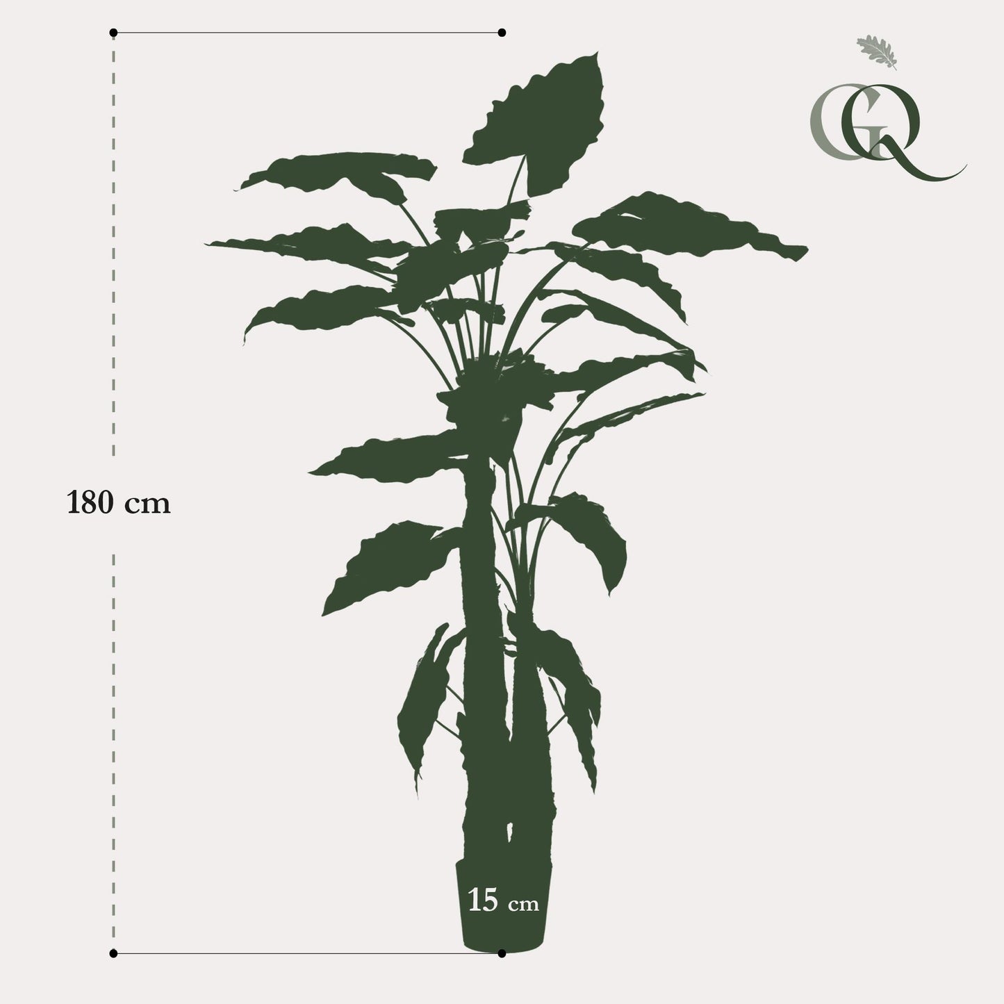 ARTIFICIAL Alocasia 180 cm