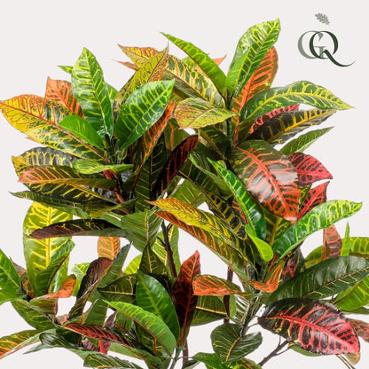 ARTIFICIAL Croton Codiaeum -120 cm