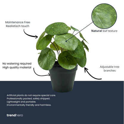 ARTIFICIAL Pilea bush 25 cm in zwarte pot