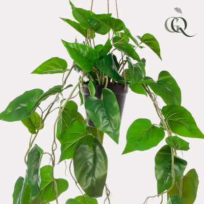 ARTIFICIAL Philodendron scandens - Klimmende Boomliefhebber - 80 cm