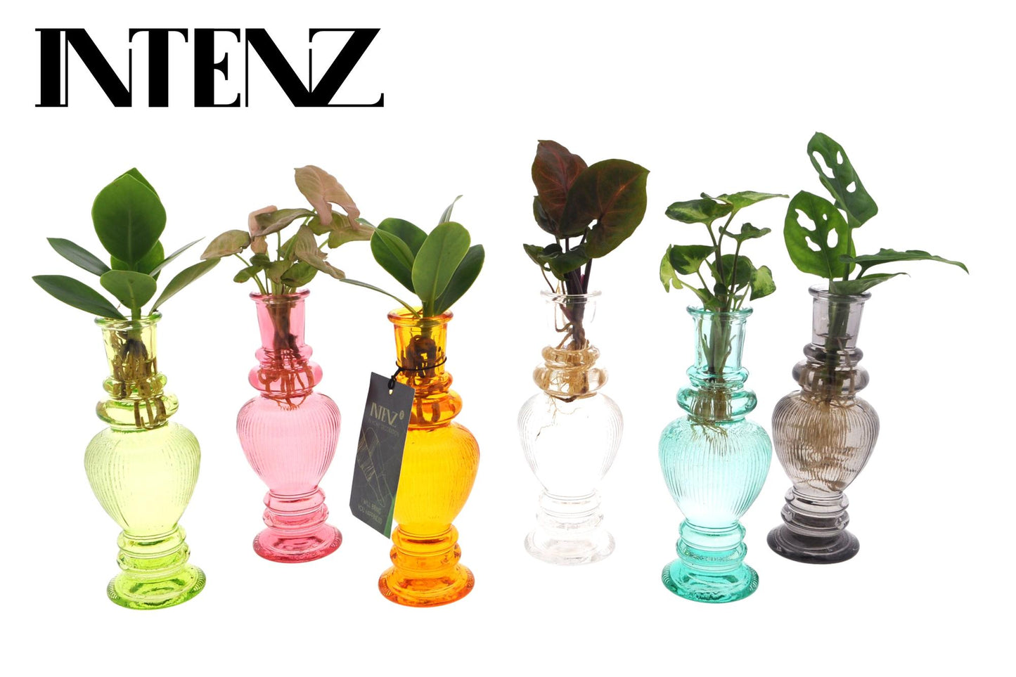 Venice Glass