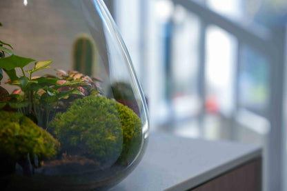 DIY: LOVE MOM 2.0 terrarium (met licht)