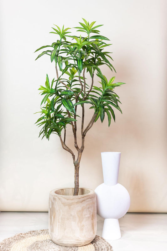 ARTIFICIAL Dracaena - 155 cm