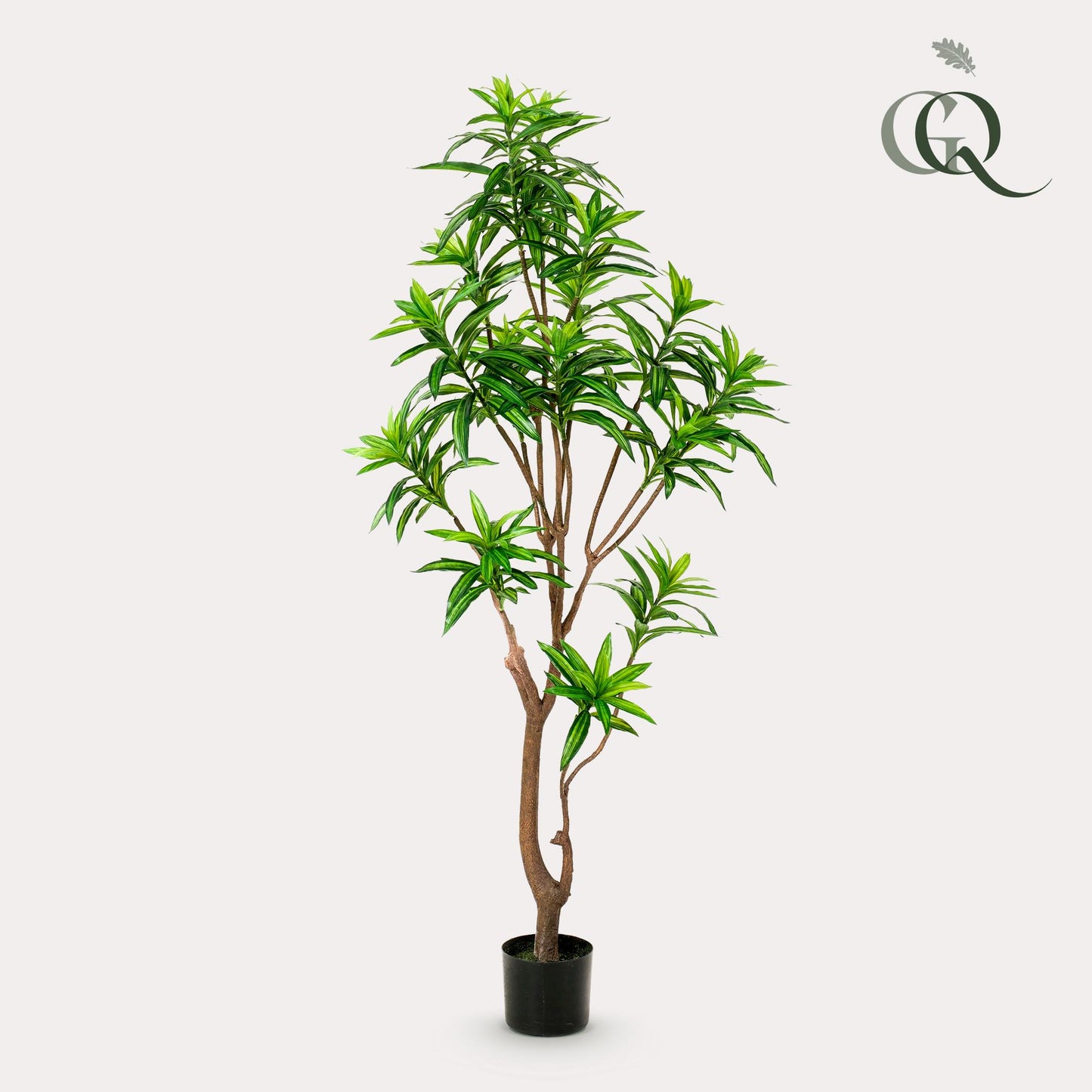 ARTIFICIAL Dracaena - 155 cm