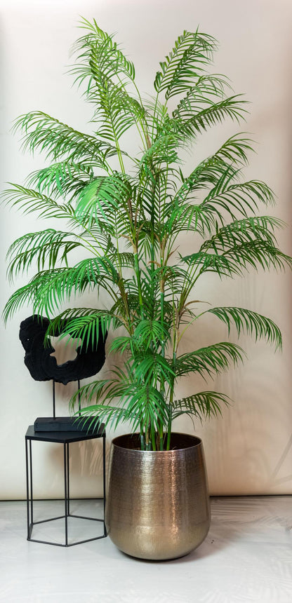 ARTIFICIAL Chamaedorea Elegans - 180 cm