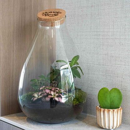 DIY: LOVE MOM 3.0 terrarium XL