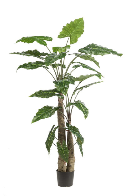 ARTIFICIAL Alocasia 180 cm