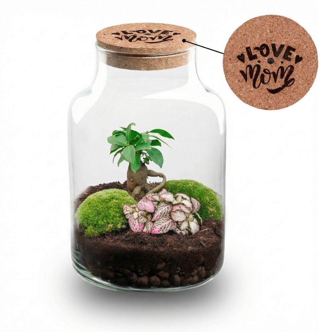 'LOVE MOM' terrarium Little Milky + engraved cork with light - Bottle terrarium DIY kit - Ø 17 cm ↑ 25 cm - Mother's Day