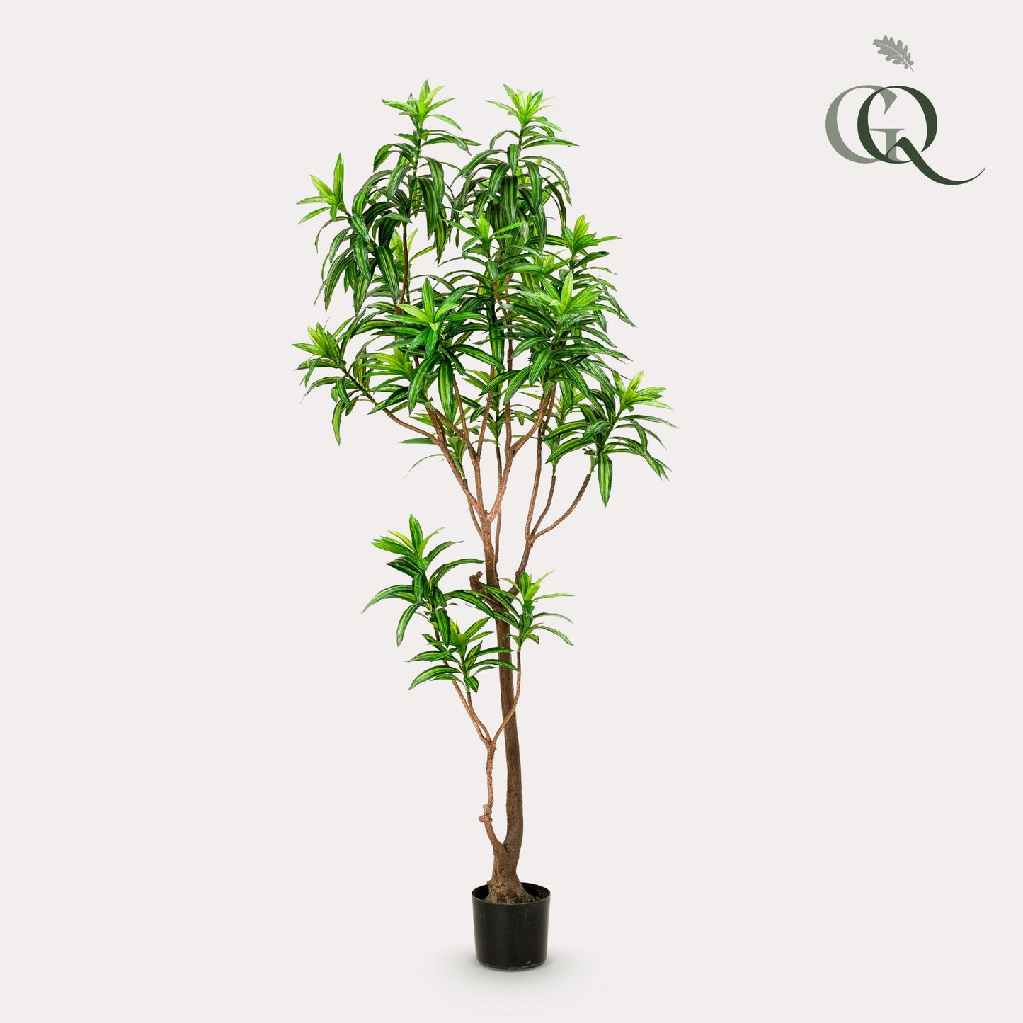ARTIFICIAL Dracaena - 190 cm