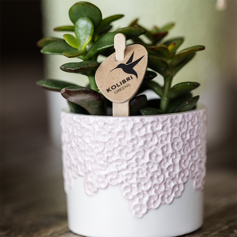 Combo: Kolibri Company | Bloom sierpot roze – set 6 cm + 9 cm + 12 cm