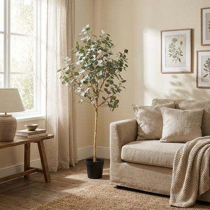 Eucalyptus