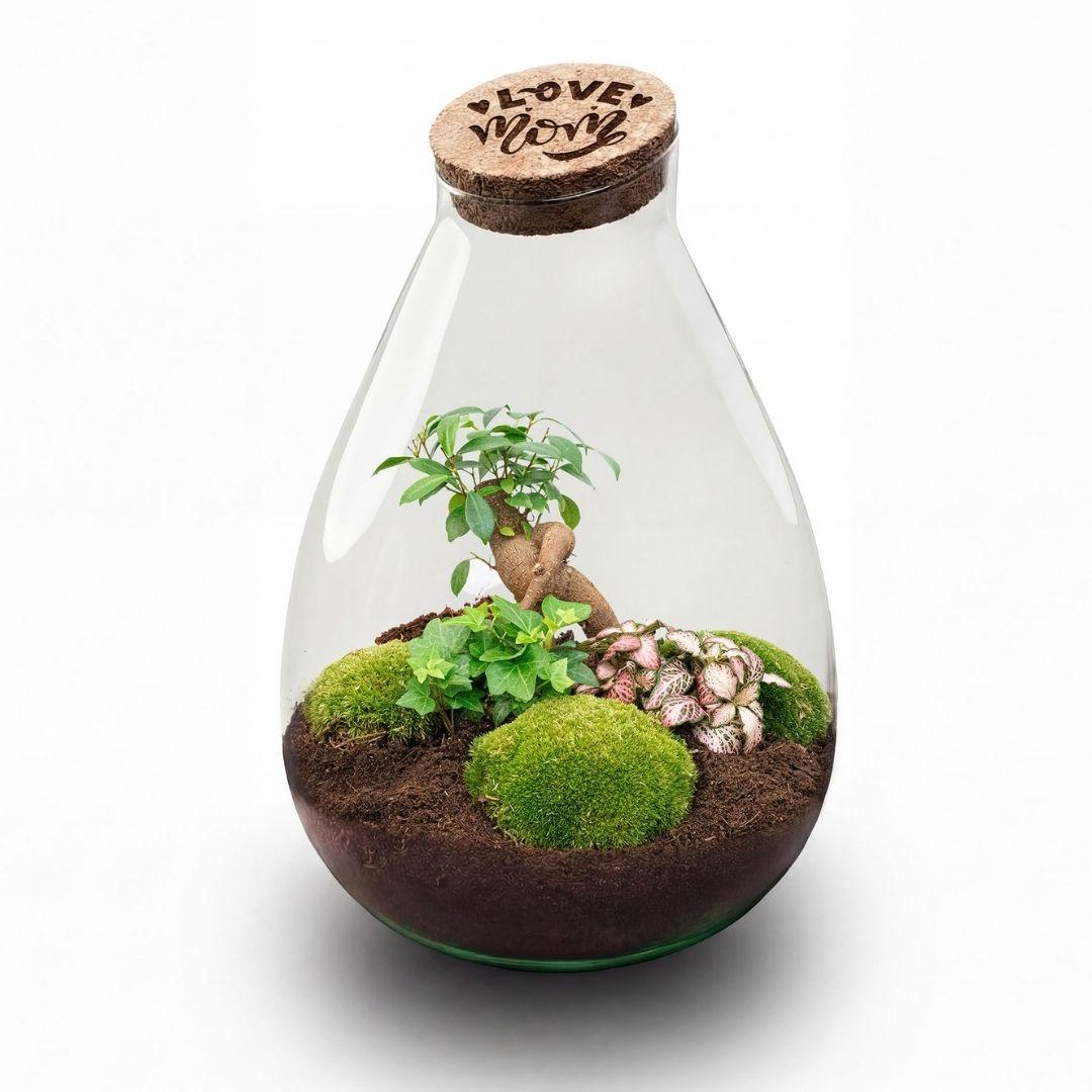 DIY: LOVE MOM 3.0 terrarium XL