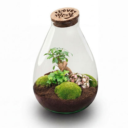 DIY: LOVE MOM 3.0 terrarium XL
