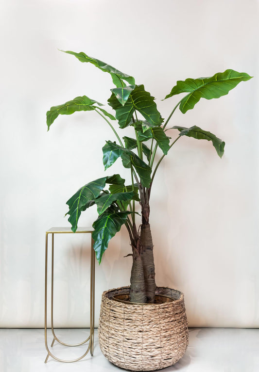 ARTIFICIAL Alocasia 180 cm