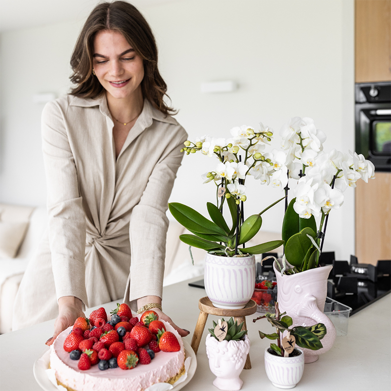 Giftset: Granada roze