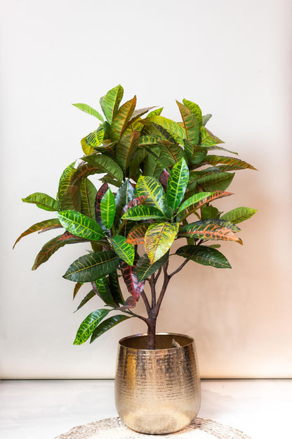 ARTIFICIAL Croton Codiaeum -120 cm