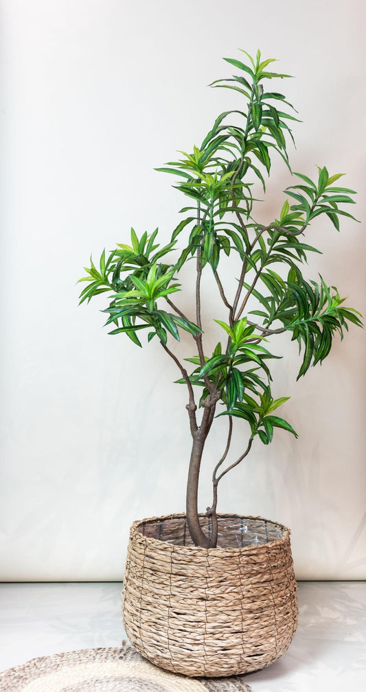 ARTIFICIAL Dracaena - 190 cm