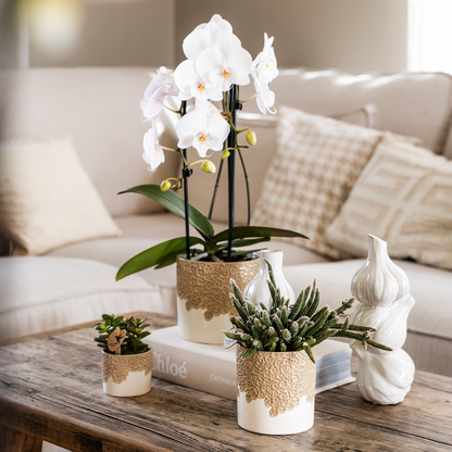 Giftset: White Niagara Falls