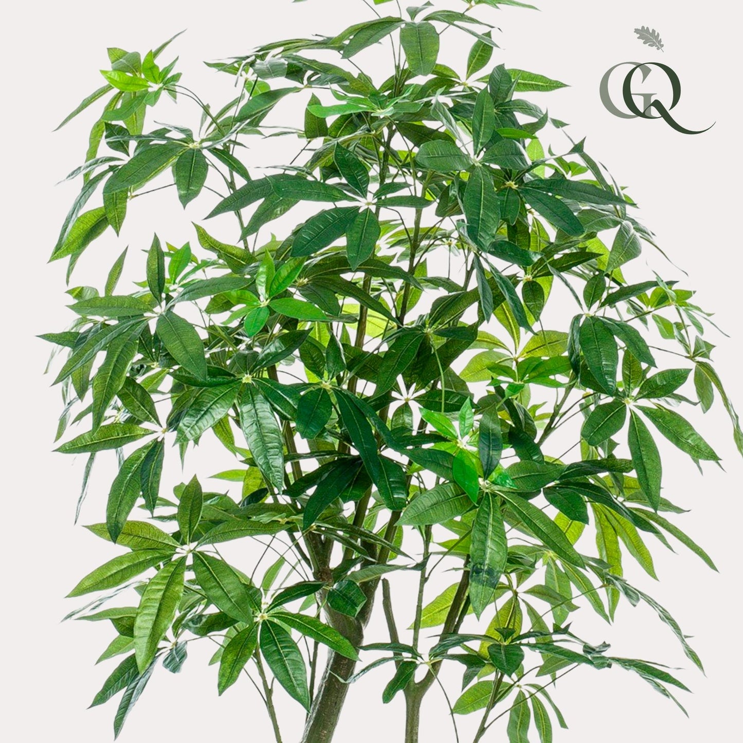 ARTIFICIAL Pachira Aquatica 180 cm