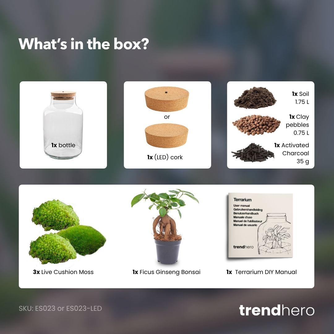 Milky Bonsai met licht