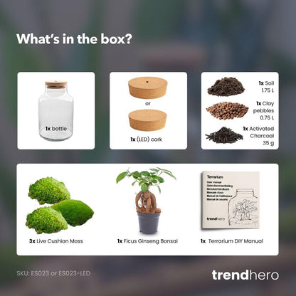 Milky Bonsai met licht