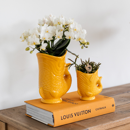 Set: witte  Nazaré en succulent (Fish sierpot oranje)