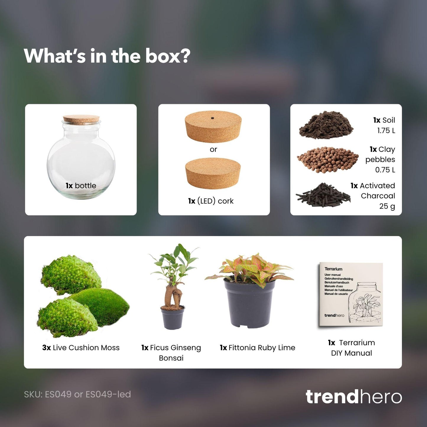 DIY Plant Terrarium (with light) - Teddy Bonsai - Ø 25 cm ↑ 26.5 cm - With LED cork