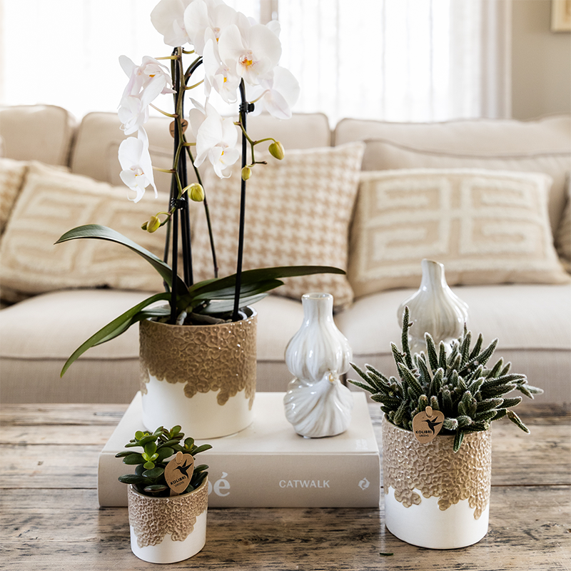 Combo: Kolibri Company | Bloom sierpot zand – set 6 cm + 9 cm + 12 cm