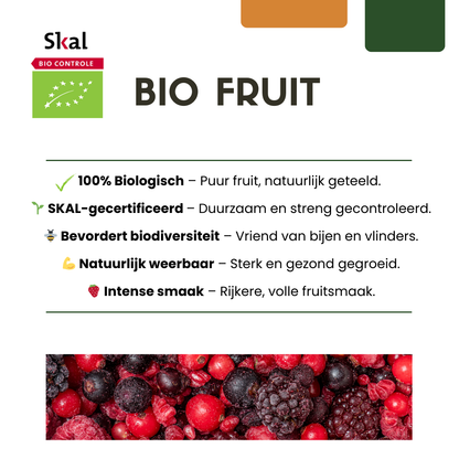 6 x Bosbessenplanten BIO - Ø 13 cm - ↨ 20 cm