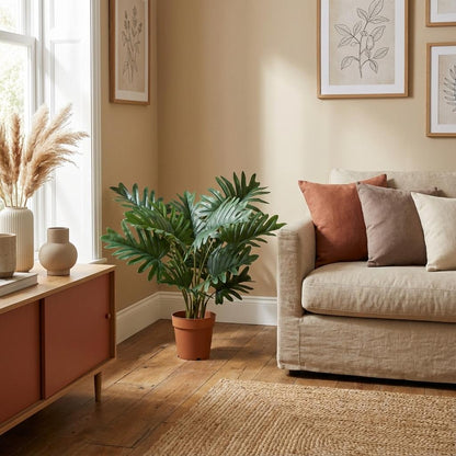 Philodendron Selloum
