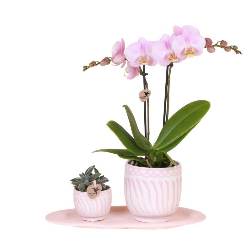 Giftset: Granada roze
