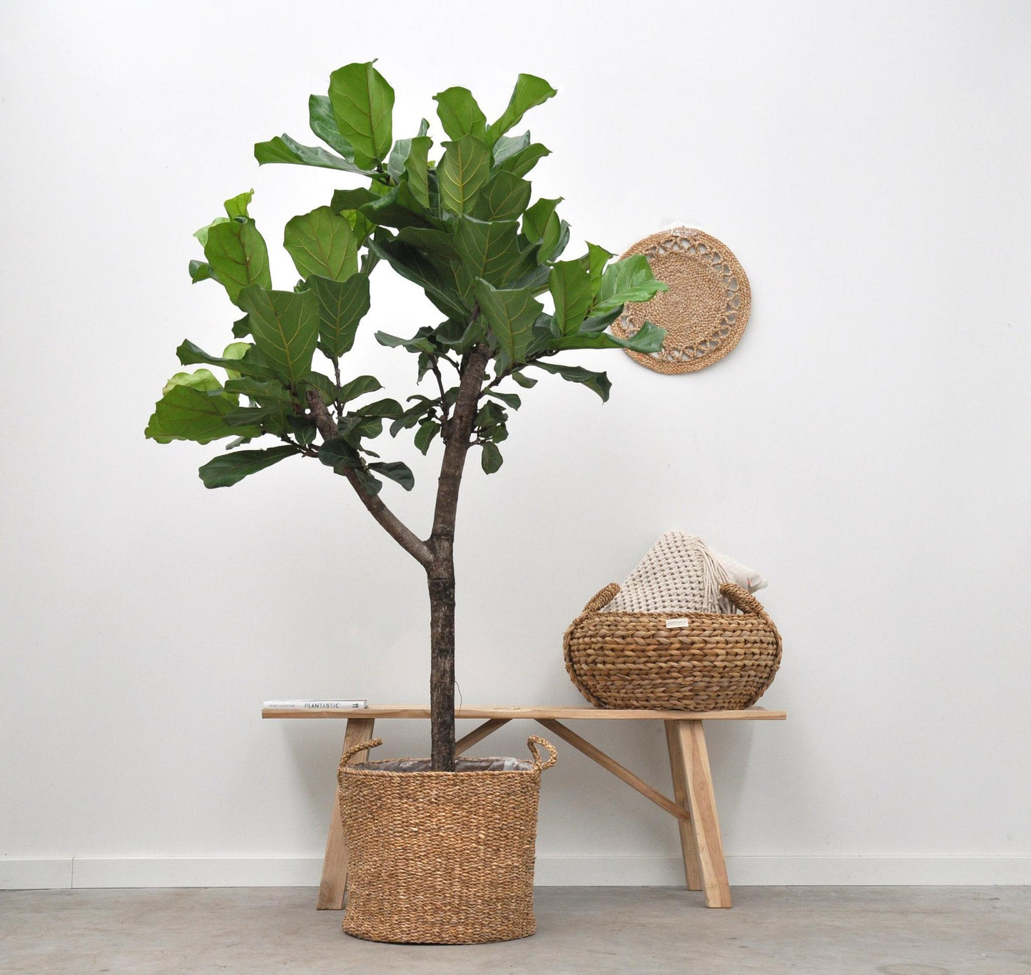 Basket Jack (D26xH23)