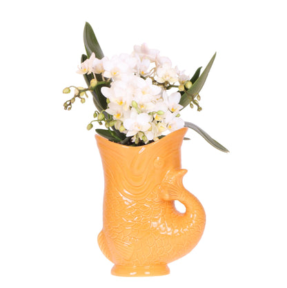 Combo: Witte Nazaré' (Fish pot oranje)