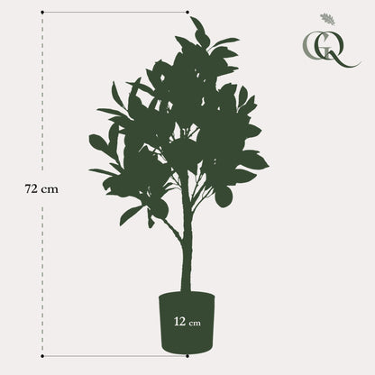 ARTIFICIAL Citrus Limonia - 75 cm