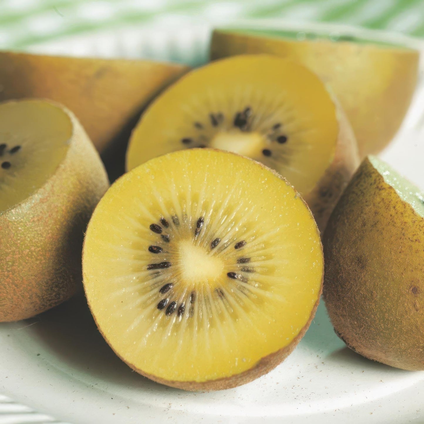 Set: Actinidia Weiki & Golden Kiwi (3 stuks)